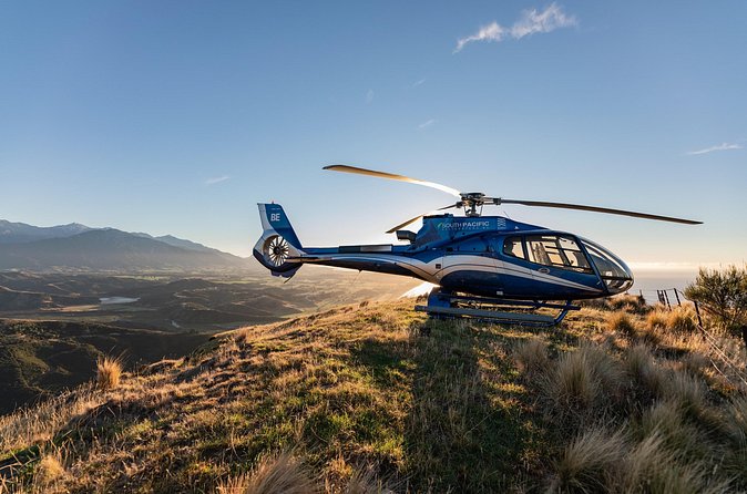 Kaikoura Whale Watching - 45 Minute Ocean Safari - Practical details for a smooth outing