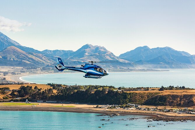 Kaikōura Whale Watching and Scenic Landing - 1hr Premier Tour - What the Seaward Kaikōura Ranges Add