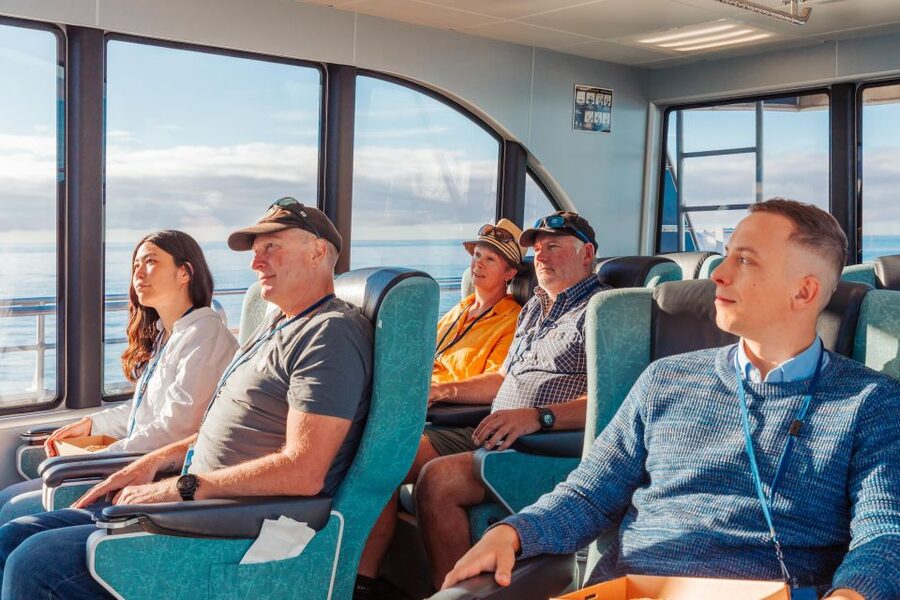 Kaikoura: Whale Watching Cruise - Dolphins, seals, albatross, and surprise sightings