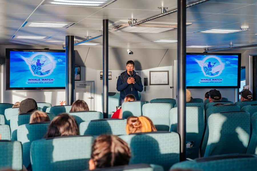 Kaikoura: Whale Watching Cruise - Check-in, buses, and the first part of the morning