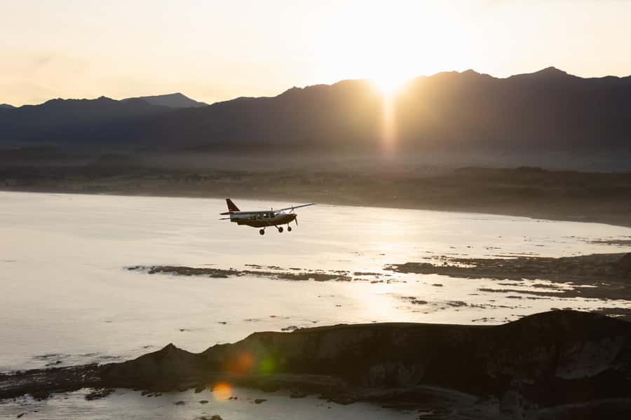 Kaikoura: Whale Watching Flight with Commentary - Why a plane changes whale watching in Kaikoura