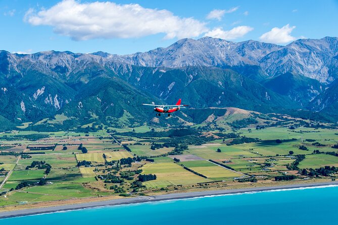 Kaikōura Whale Watching Scenic Flight (40 Minutes) - Flying toward the Hikurangi Marine Reserve