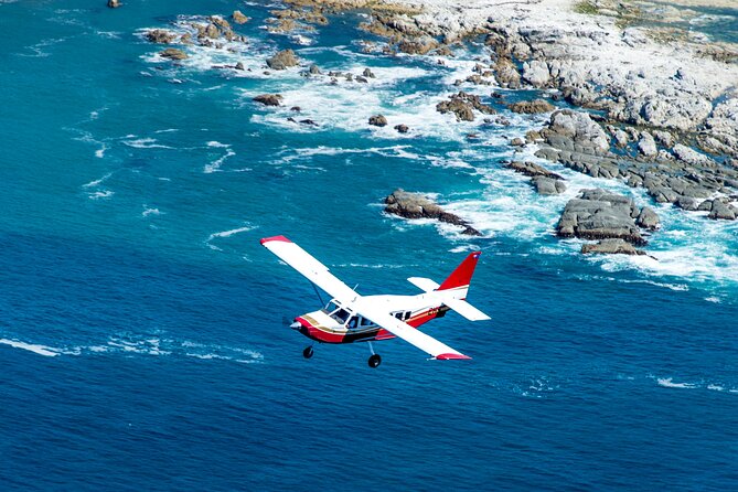 Kaikōura Whale Watching Scenic Flight (40 Minutes) - The value of the $170.66 price