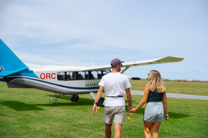 Kaikōura Whale Watching Scenic Flight (40 Minutes) - The preflight briefing and small-plane setup