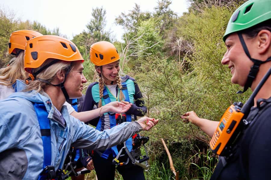 Kaikōura: Zipline and Native Forest Adventure Trip - Seasonal advice and what to pack