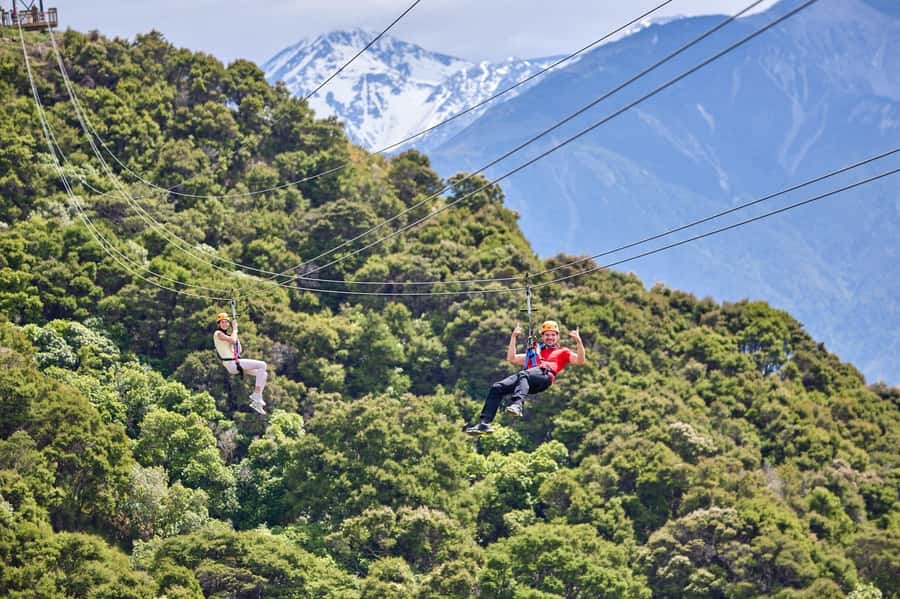 Kaikōura: Zipline and Native Forest Adventure Trip - The native forest walk between the thrills