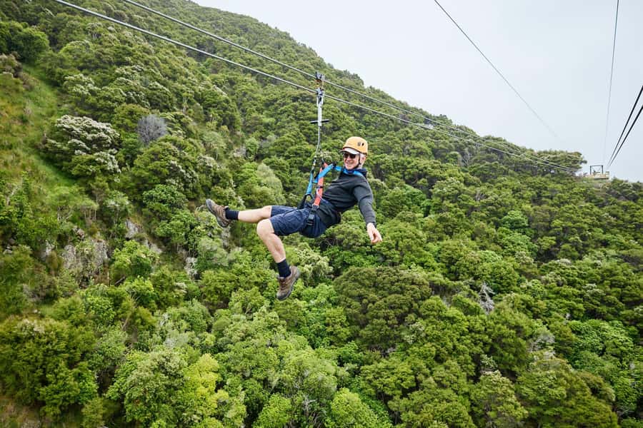 Kaikōura: Zipline and Native Forest Adventure Trip - Safety is a central part of the experience