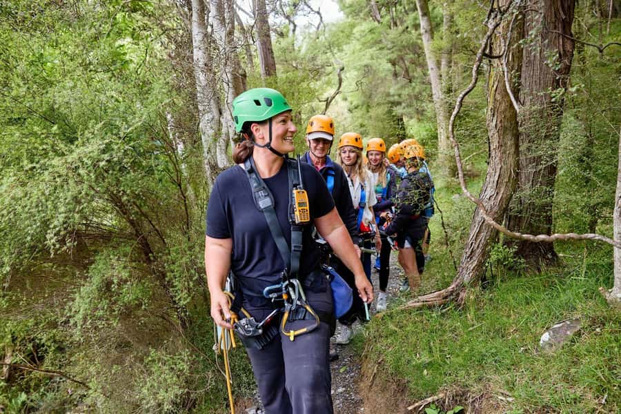 Kaikōura: Zipline and Native Forest Adventure Trip - How the guides shape the day