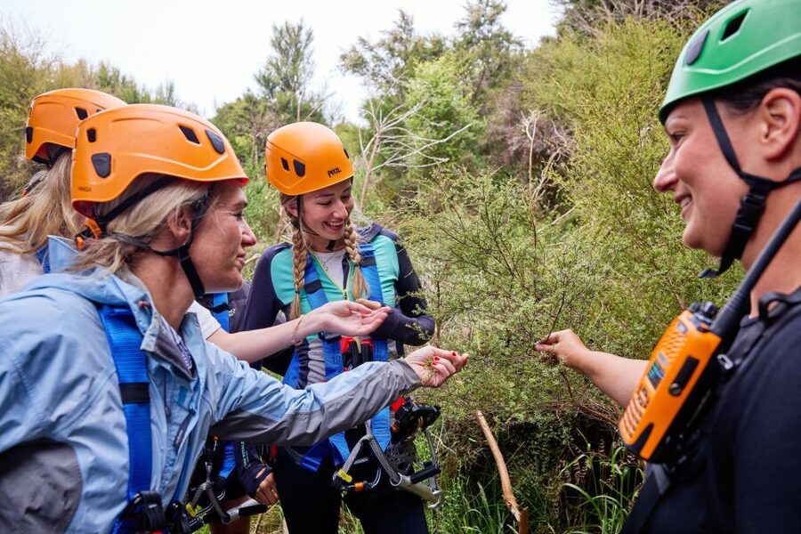 Kaikōura: Zipline and Native Forest Adventure Trip - Who will enjoy it most