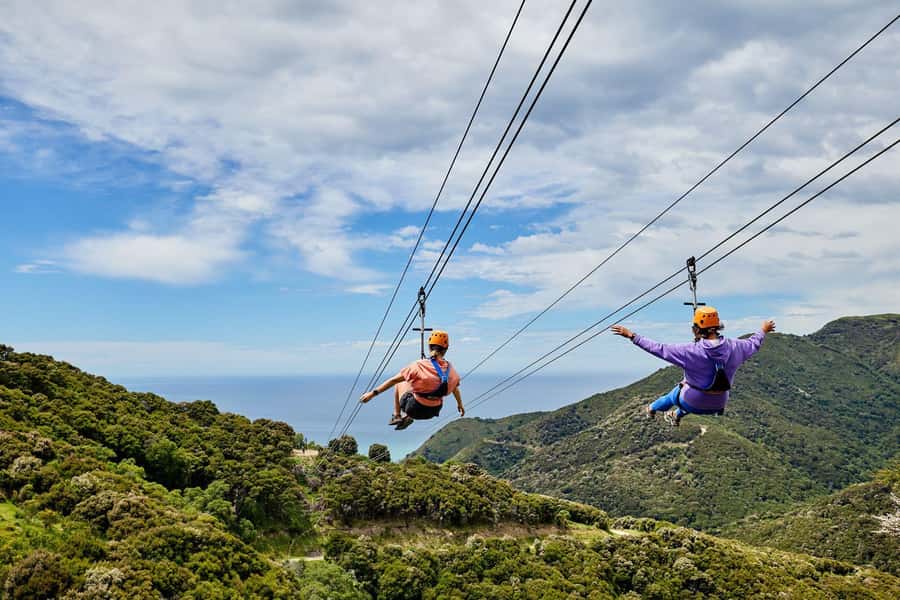 Kaikōura: Zipline and Native Forest Adventure Trip - From West End to Rakanui Station