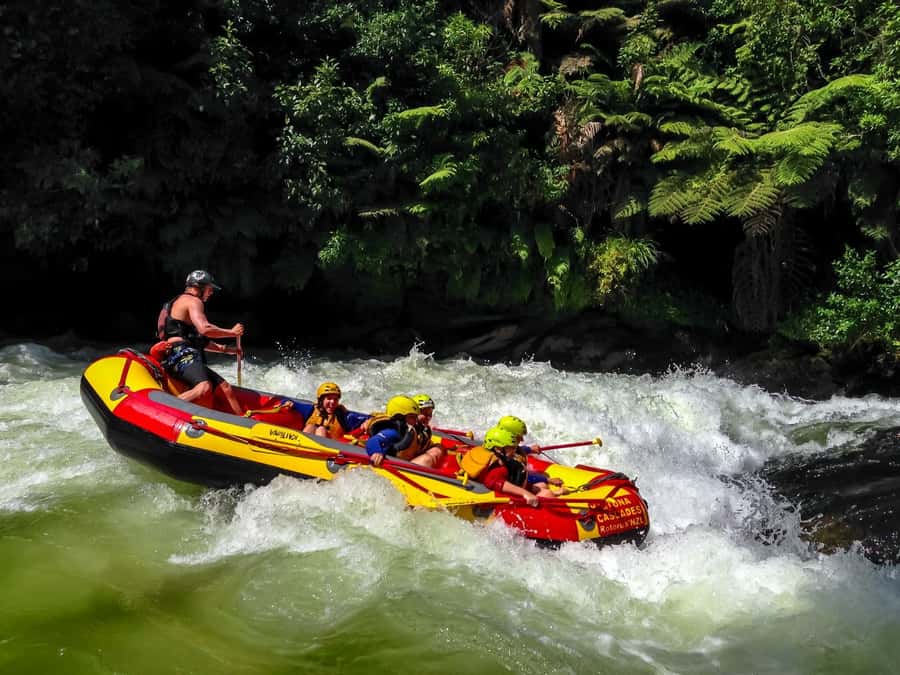 Kaituna River and Tutea Falls Whitewater Rafting - Why Tutea Falls is the star of the Kaituna River
