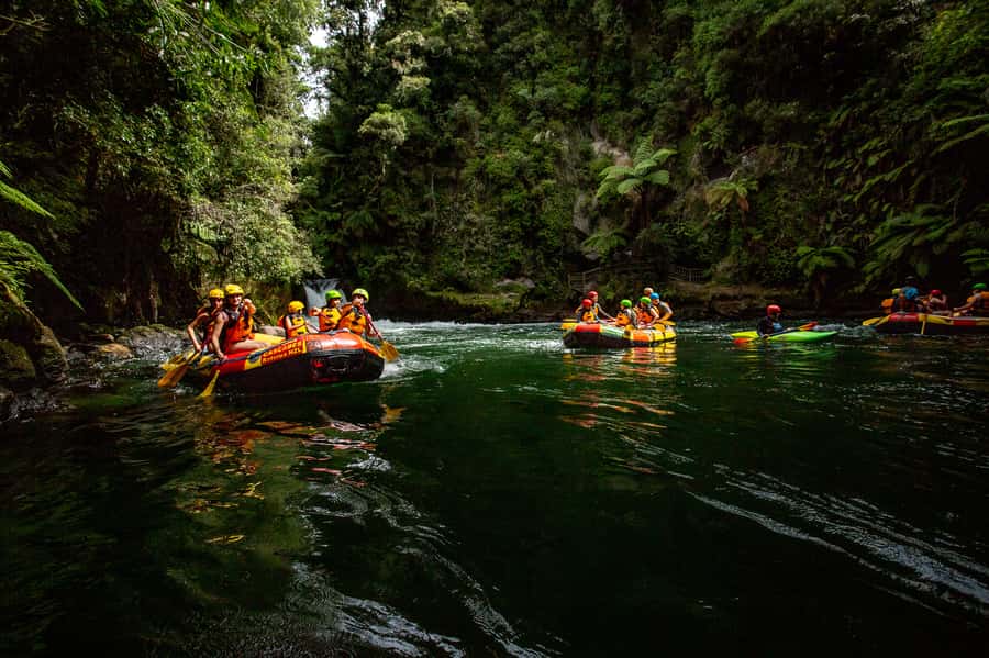 Kaituna River and Tutea Falls Whitewater Rafting - After the raft: walking and refreshments