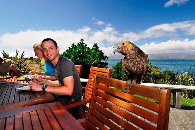 Kapiti Island Classic Guided Day Tour - Key things to know before booking