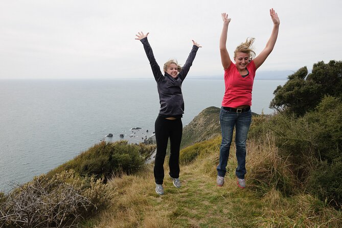 Kapiti Island Classic Guided Day Tour - The ferry from Paraparaumu Beach to Waiorua Bay