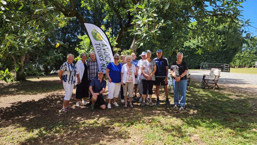 Katikati: Guided Avocado Adventures with Tasty Treats - A grower’s view of the avocado tree