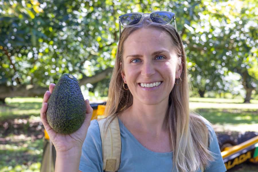 Katikati: Guided Gourmet Avocado Tour - Why Katikati Is a Natural Home for Avocado Tourism