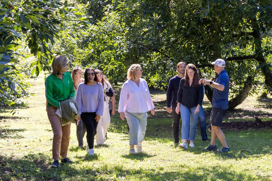 Katikati: Guided Gourmet Avocado Tour - The Gourmet Tasting: More Than Guacamole