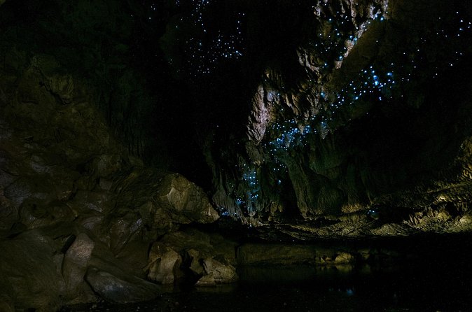 Kawiti Family Glowworm Caves Guided Tour in Bay of Islands - What the $96.19 price really covers