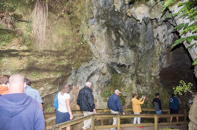 Kawiti Family Glowworm Caves Guided Tour in Bay of Islands - Who will enjoy this outing most?