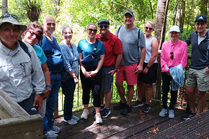 Kawiti Glow Worm Cave Tour & Opua Forest Walk - A Waitangi lookout with room for photographs