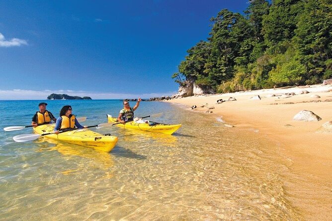 Kayak & Pitt Head Nature Loop - Guided Kayak & Unguided Walk - New Zealand - What the Guided Kayak Section Is Like