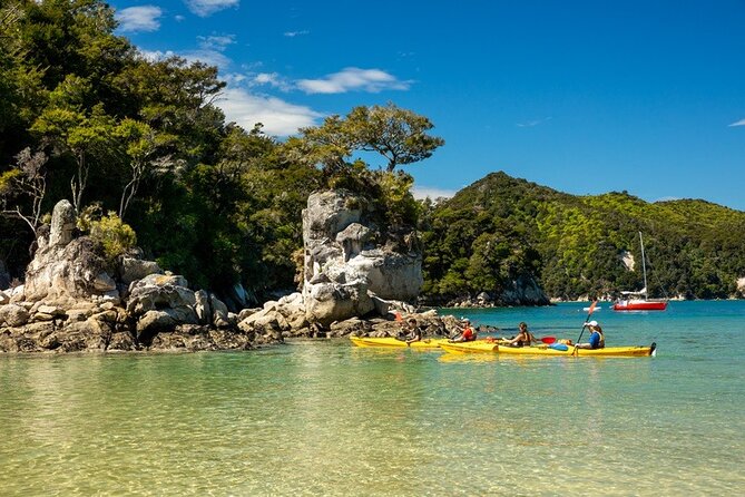 Kayak & Pitt Head Nature Loop - Guided Kayak & Unguided Walk - New Zealand - The Walking Section Toward Anchorage