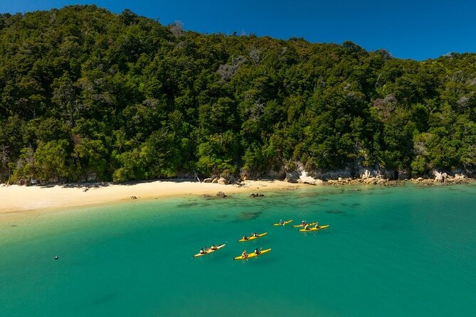 Kayak & Pitt Head Nature Loop - Guided Kayak & Unguided Walk - New Zealand - The Price: What You Are Paying For