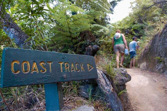 Kayak & Pitt Head Nature Loop - Guided Kayak & Unguided Walk - New Zealand - Who Will Enjoy This Day Most