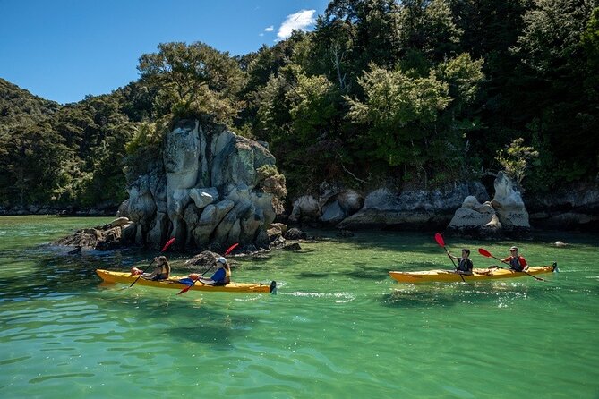 Kayak & Pitt Head Nature Loop - Guided Kayak & Unguided Walk - New Zealand - Weather, Safety, and Flexibility