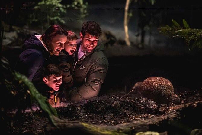 Kiwi Park Queenstown Admission - The conservation show brings the birds closer