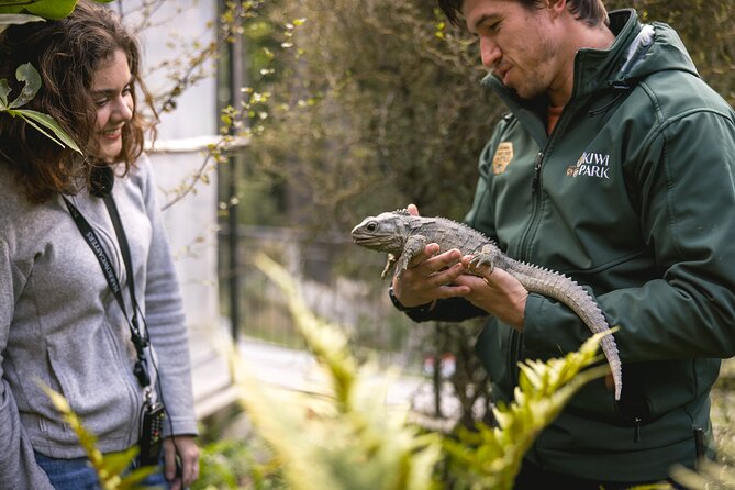 Kiwi Park Queenstown Admission - Meet a tuatara, New Zealand’s ancient reptile
