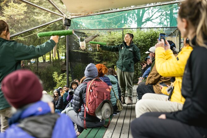 Kiwi Park Queenstown Admission - Conservation gives the visit a purpose
