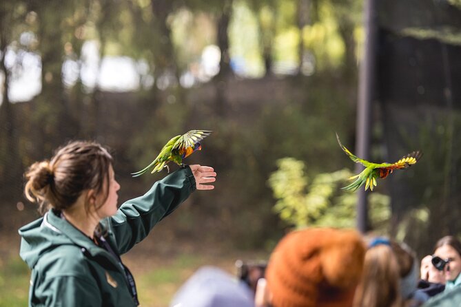 Kiwi Park Queenstown Admission - How long should you allow?