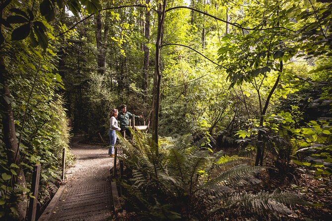 Kiwi Park Queenstown Admission - Location and practical planning