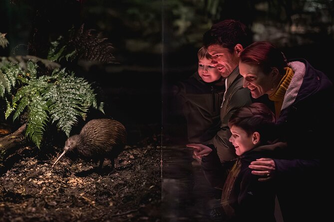 Kiwi Park Queenstown Admission - Walk the native bush and smaller exhibits