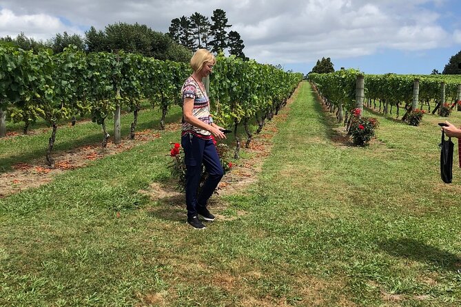 Kumeu Wine Tour - Why Kumeu works as an Auckland day trip