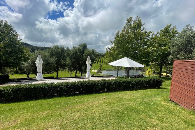 Kumeu Wine Tour - Soljans Estate, a family-run first taste