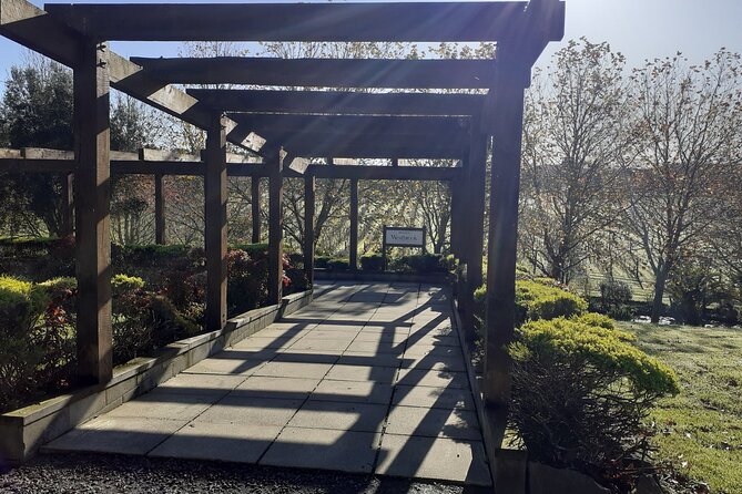 Kumeu Winery Boutique Tour with Gourmet Lunch from Auckland - Why Kumeu works well for a short Auckland outing