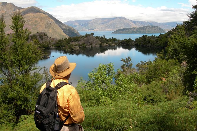Lake Cruise & Mou Waho Island Nature Walk - Why Mou Waho is worth the boat trip