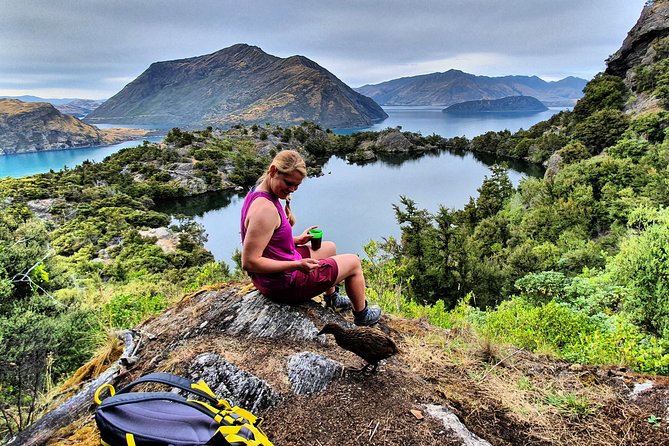 Lake Cruise & Mou Waho Island Nature Walk - Morning tea or afternoon tea above the lake