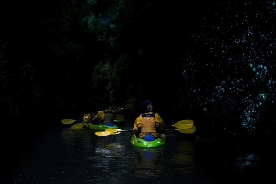 Lake Karapiro: Evening Kayak Glowworm Tour - Should You Book the Lake Karapiro Glowworm Tour?