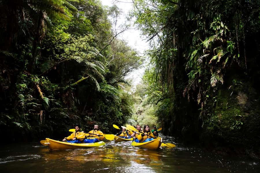 Lake Karapiro: Evening Kayak Glowworm Tour - From Lake Karapiro to the Old Horahora Site