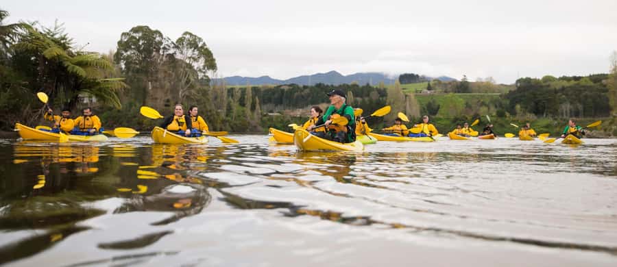 Lake Karapiro: Evening Kayak Glowworm Tour - Paddling Into the Canyon After Sunset