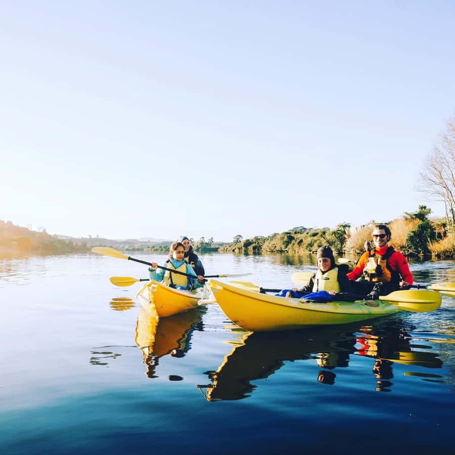 Lake Karapiro: Evening Kayak Glowworm Tour - What Is Included, and What Is Not
