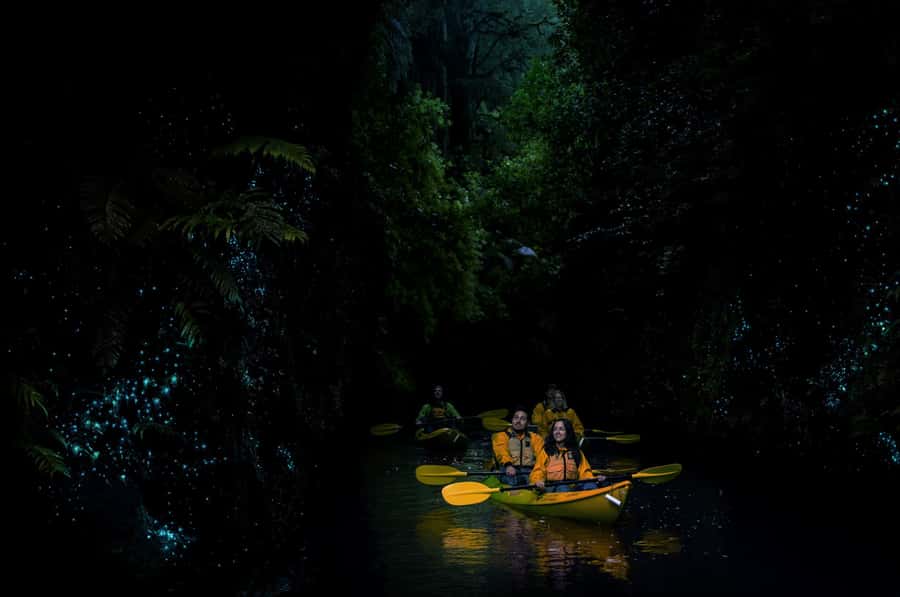 Lake Karapiro: Evening Kayak Glowworm Tour - Who Should Book This Evening Kayak?