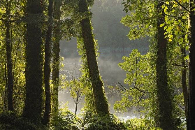 Lake Matheson Nature Tour - Clothing, boots, and weather planning