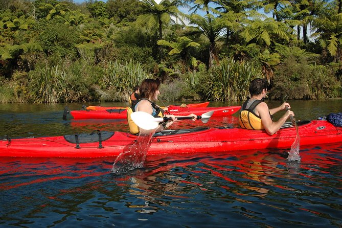 Lake Rotoiti Evening Kayak Tour including Hot Springs, Glowworm Caves and BBQ Dinner - Glowworms and koura by kayak