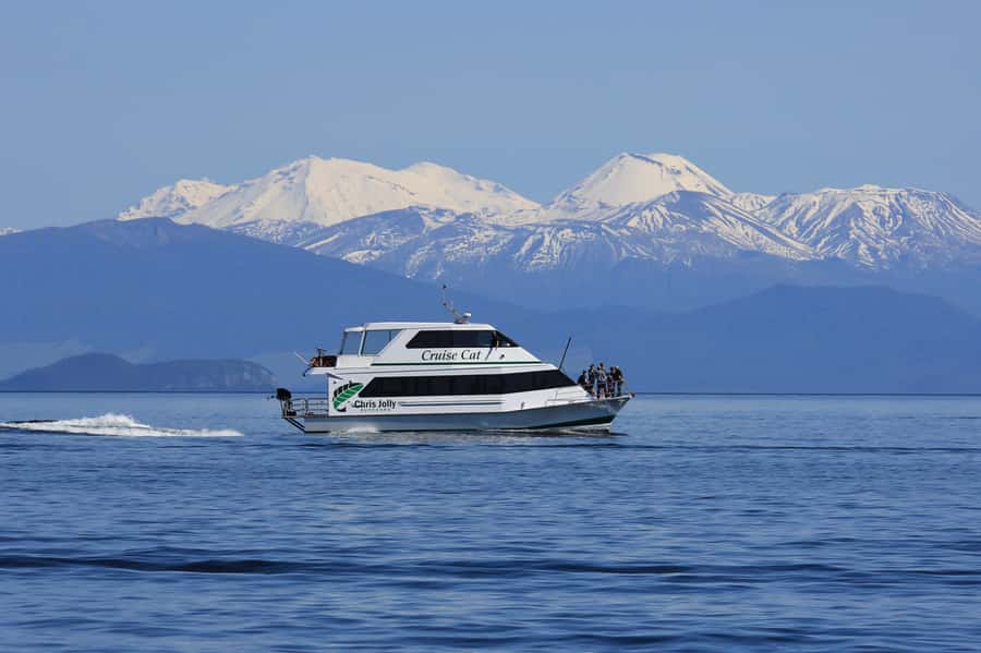 Lake Taupo: 1.5-Hour Maori Rock Carvings 5:00 PM Cruise - Seeing the carvings from the water