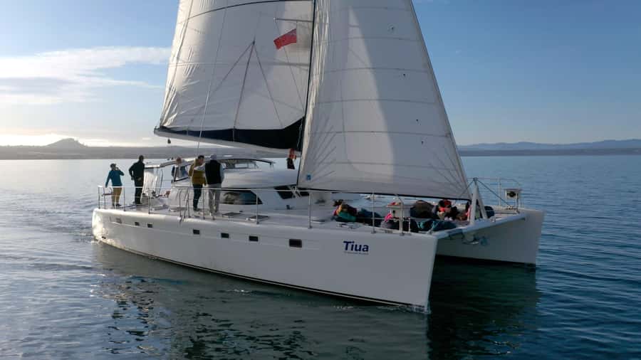 Lake Taupo: Luxury Sailing Catamaran to Māori Rock Carvings - A quiet cruise across Great Lake Taupō