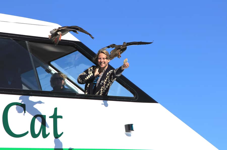 Lake Taupo: Maori Rock Carvings 8.30 AM 1.5-Hour Cruise - What the two-story catamaran is like